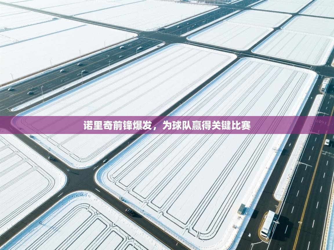 诺里奇前锋爆发，为球队赢得关键比赛  第1张