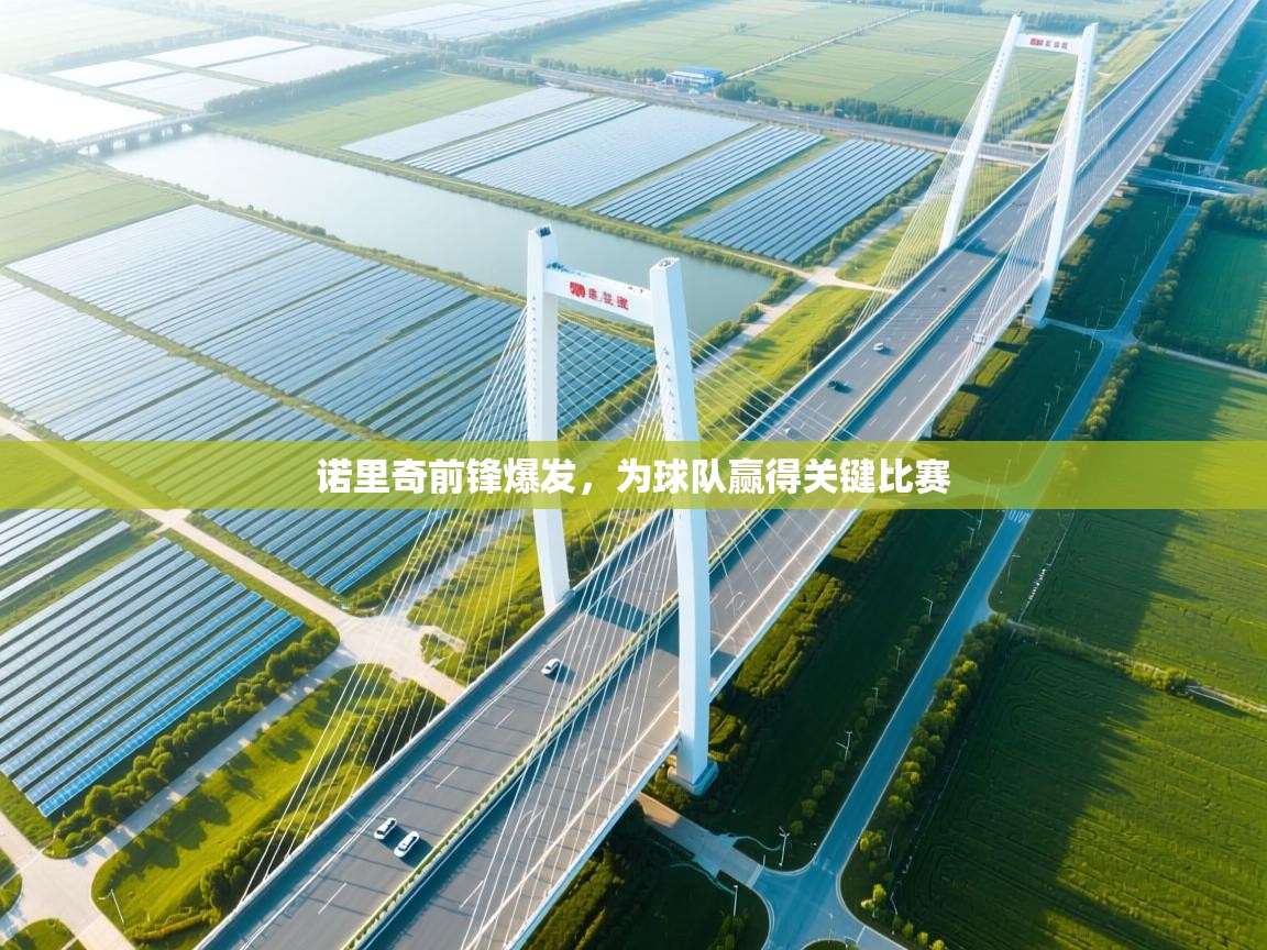 诺里奇前锋爆发，为球队赢得关键比赛  第2张