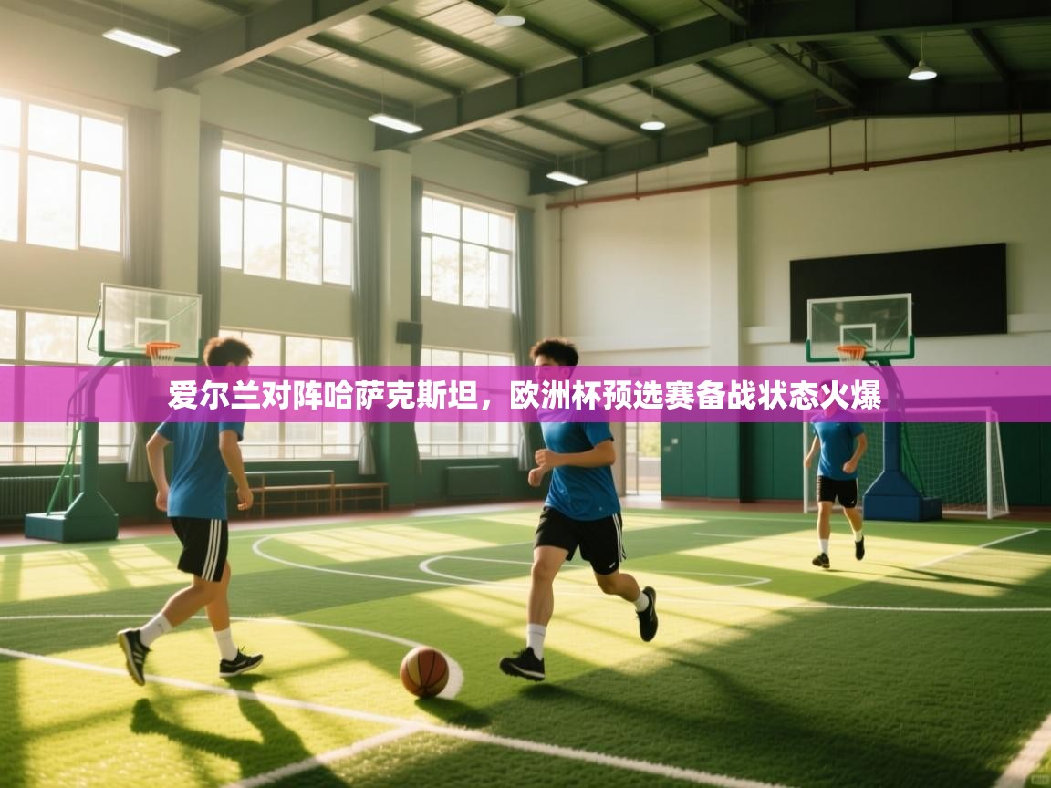 爱尔兰对阵哈萨克斯坦,欧洲杯预选赛备战状态火爆 第1张