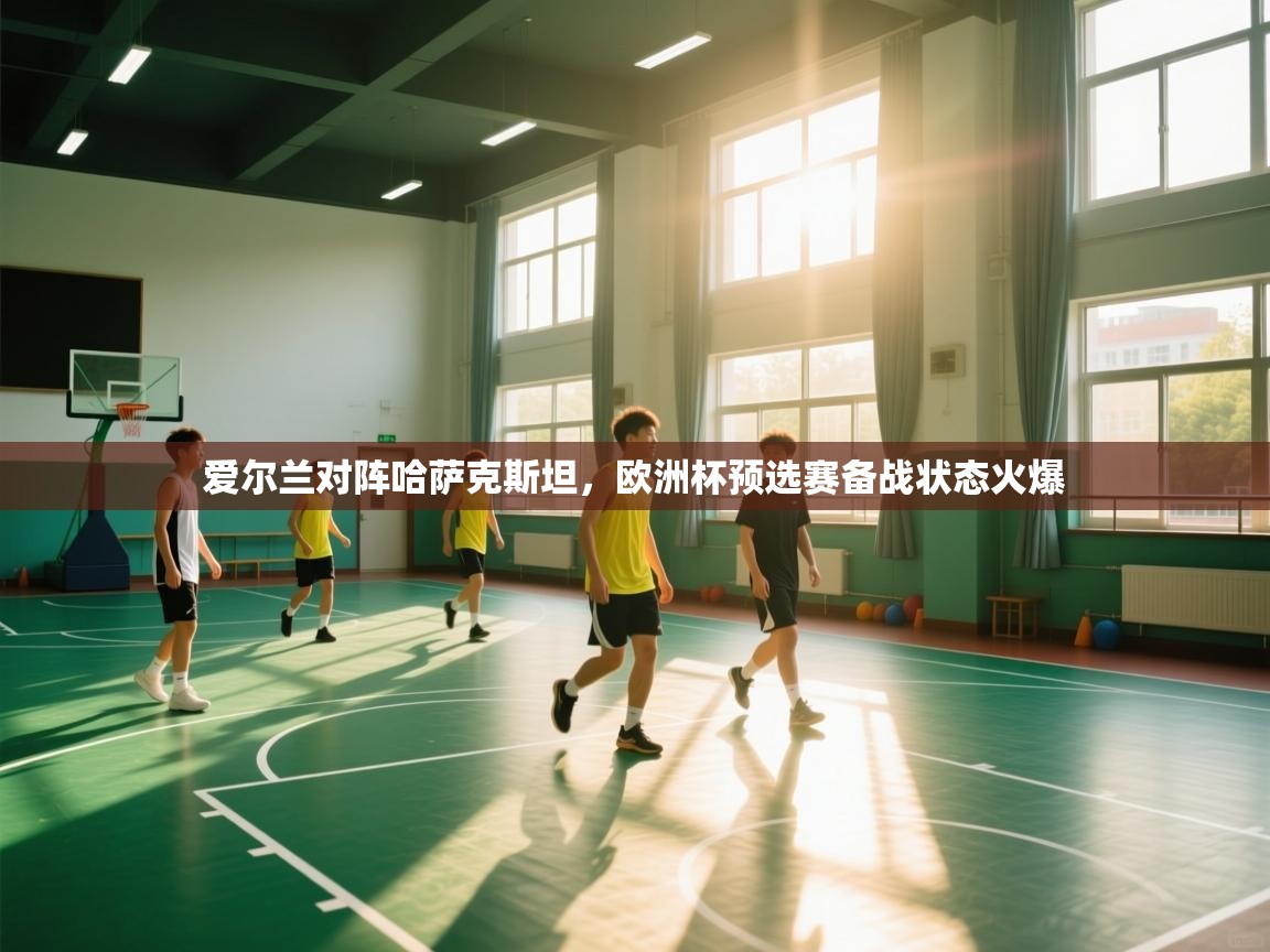 爱尔兰对阵哈萨克斯坦,欧洲杯预选赛备战状态火爆 第2张