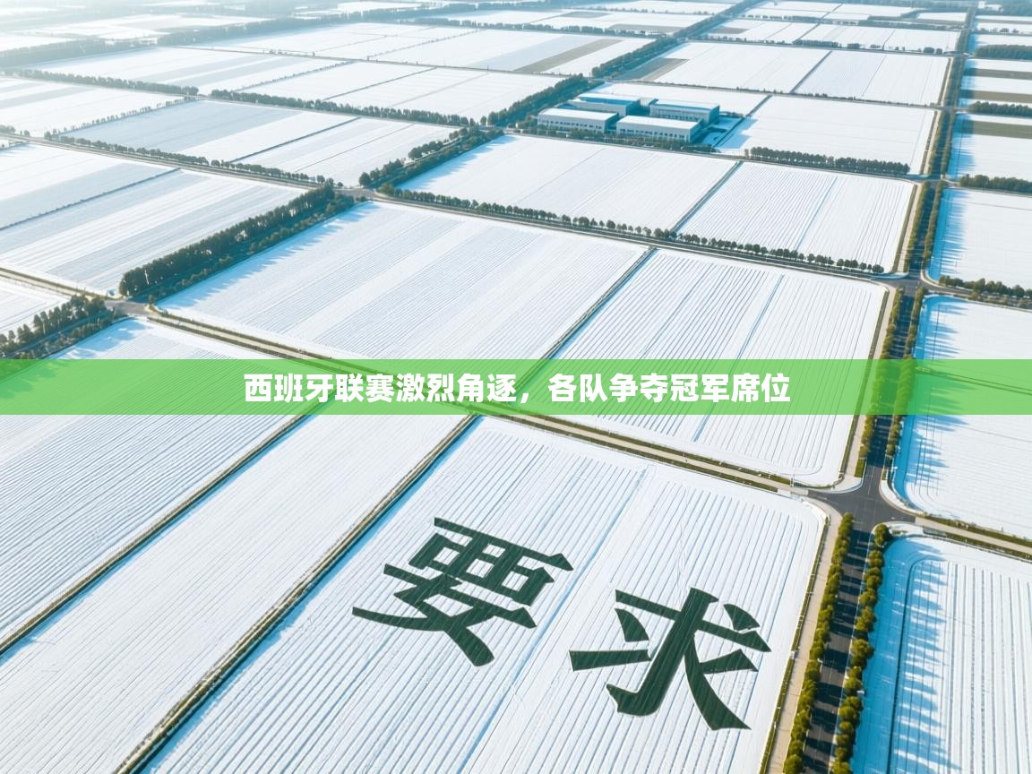 西班牙联赛激烈角逐,各队争夺冠军席位 第1张