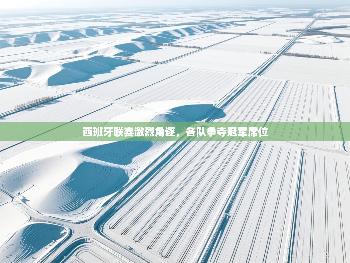 西班牙联赛激烈角逐,各队争夺冠军席位 第2张