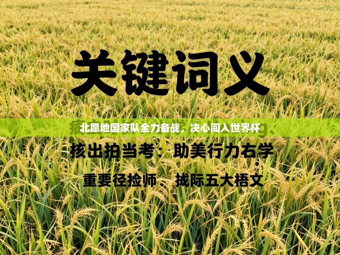 北愿地国家队全力备战，决心闯入世界杯  第2张