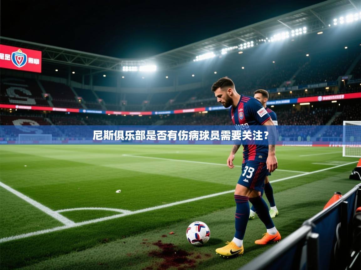 尼斯俱乐部是否有伤病球员需要关注? 第1张